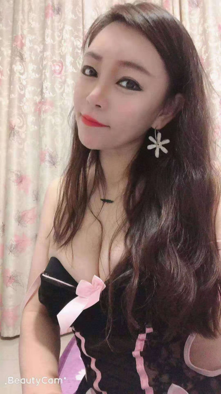 宝安区 小肥猫